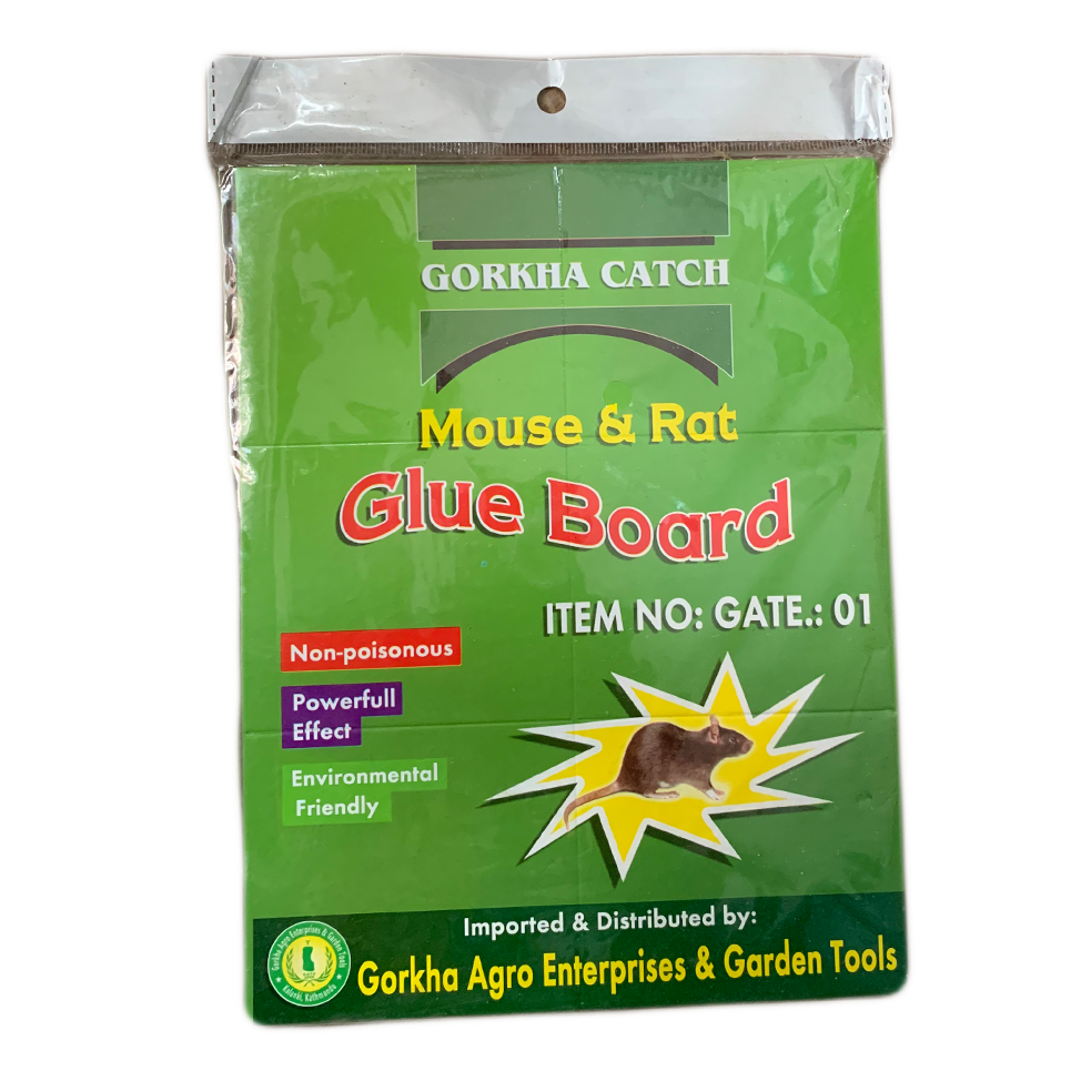 Glue Board (Mouse and Rat trap)